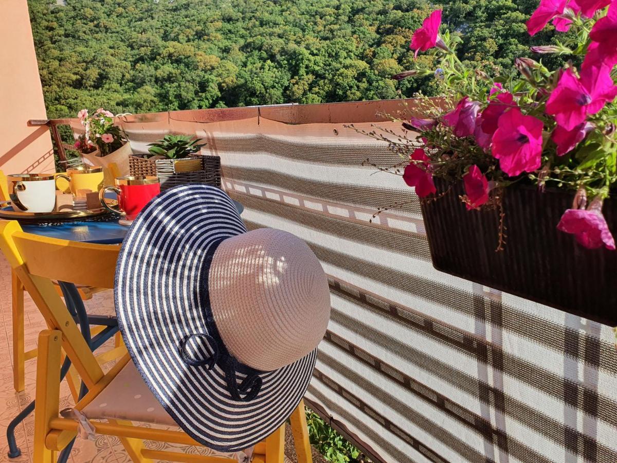 Apartman Bake Milke Senj  Exterior photo